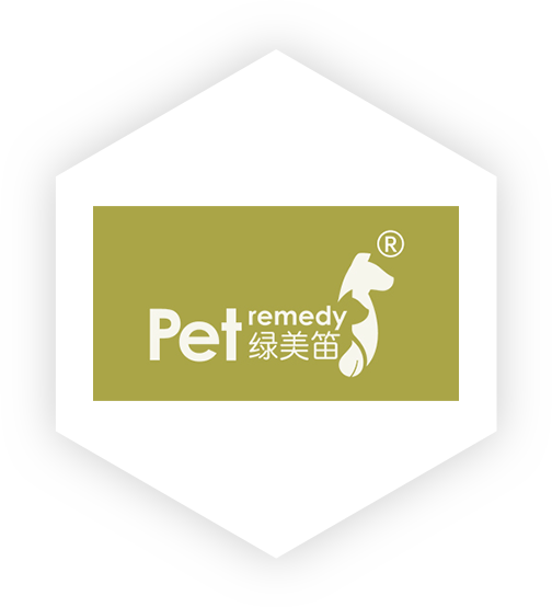 绿美笛