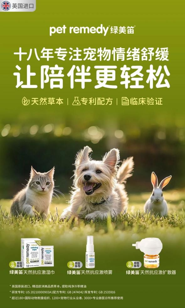 绿美笛-1